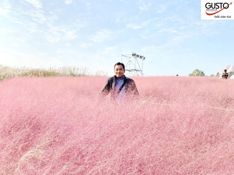 รีวิวภาพสวยๆจากลูกค้าโปรแกรมทัวร์เกาหลี